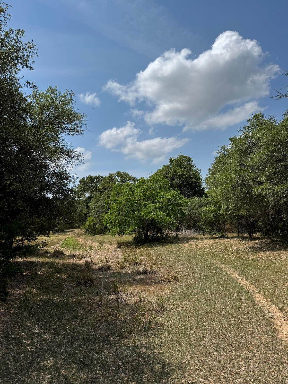 Tbd County Road 122 Property Photo 5