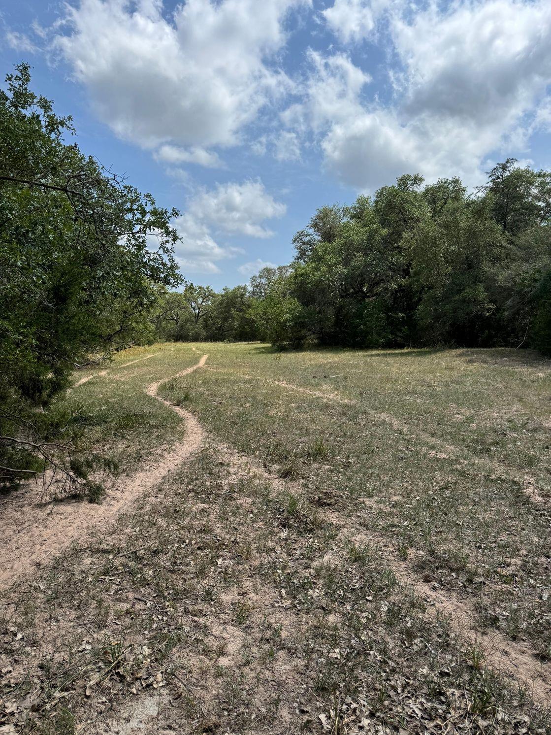 Tbd County Road 122 Property Photo 7