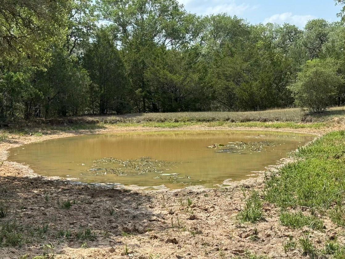 Tbd County Road 122 Property Photo 8