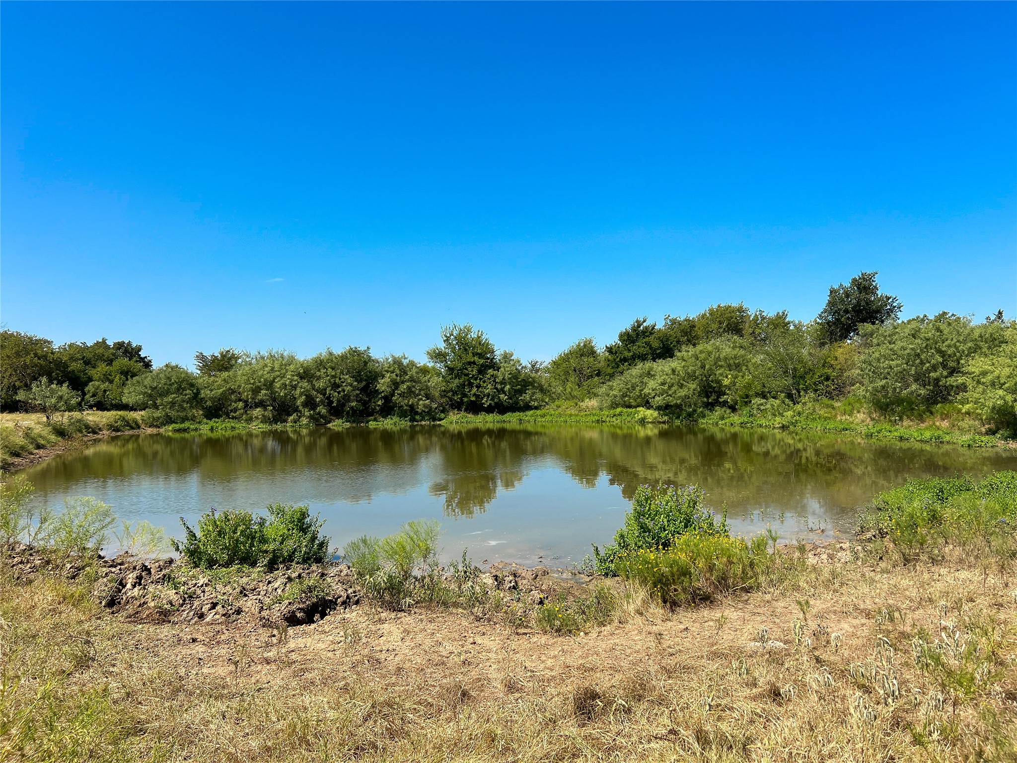 496 Fm-1512 Property Photo 2