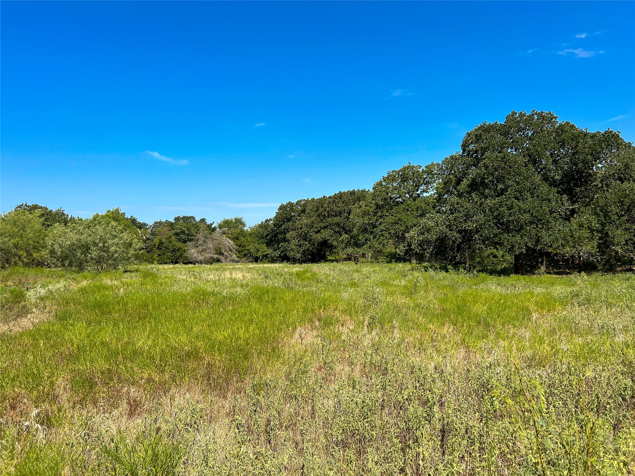 496 Fm-1512 Property Photo 3
