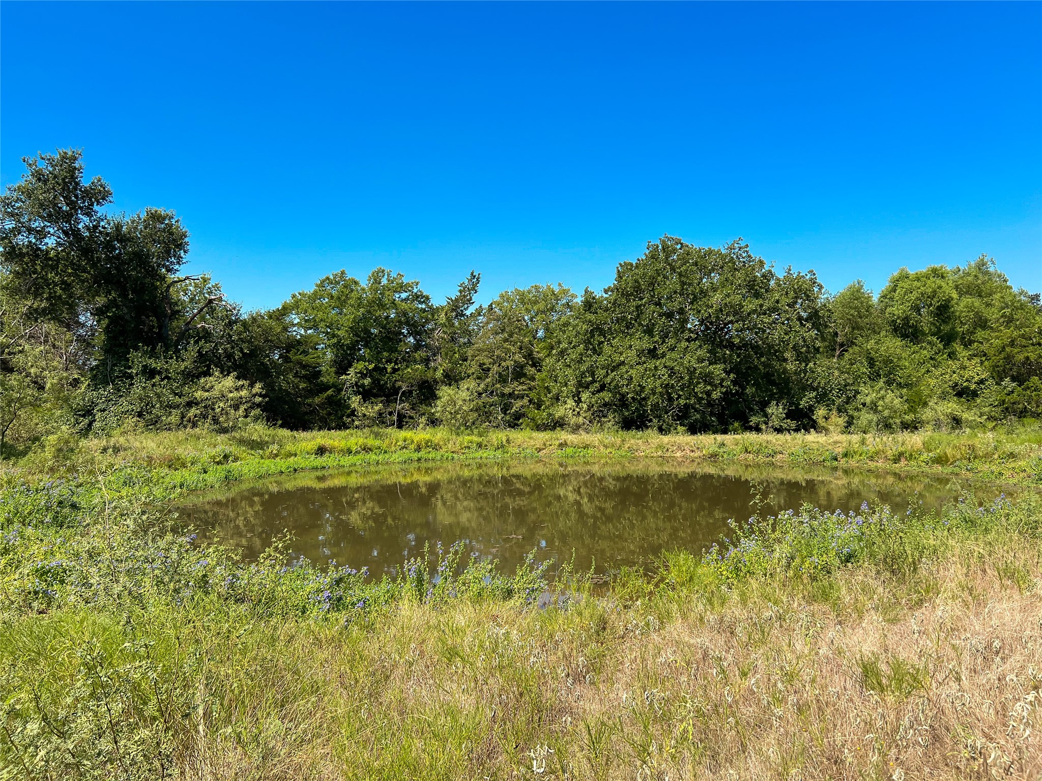496 Fm-1512 Property Photo 4