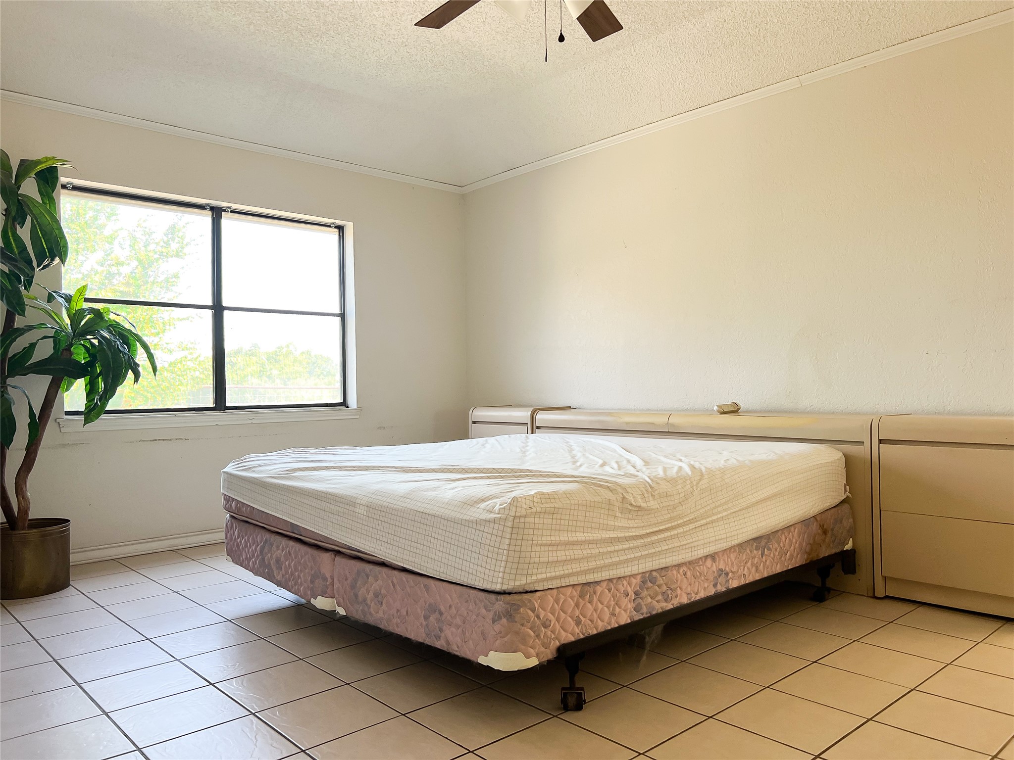 496 Fm-1512 Property Photo 21