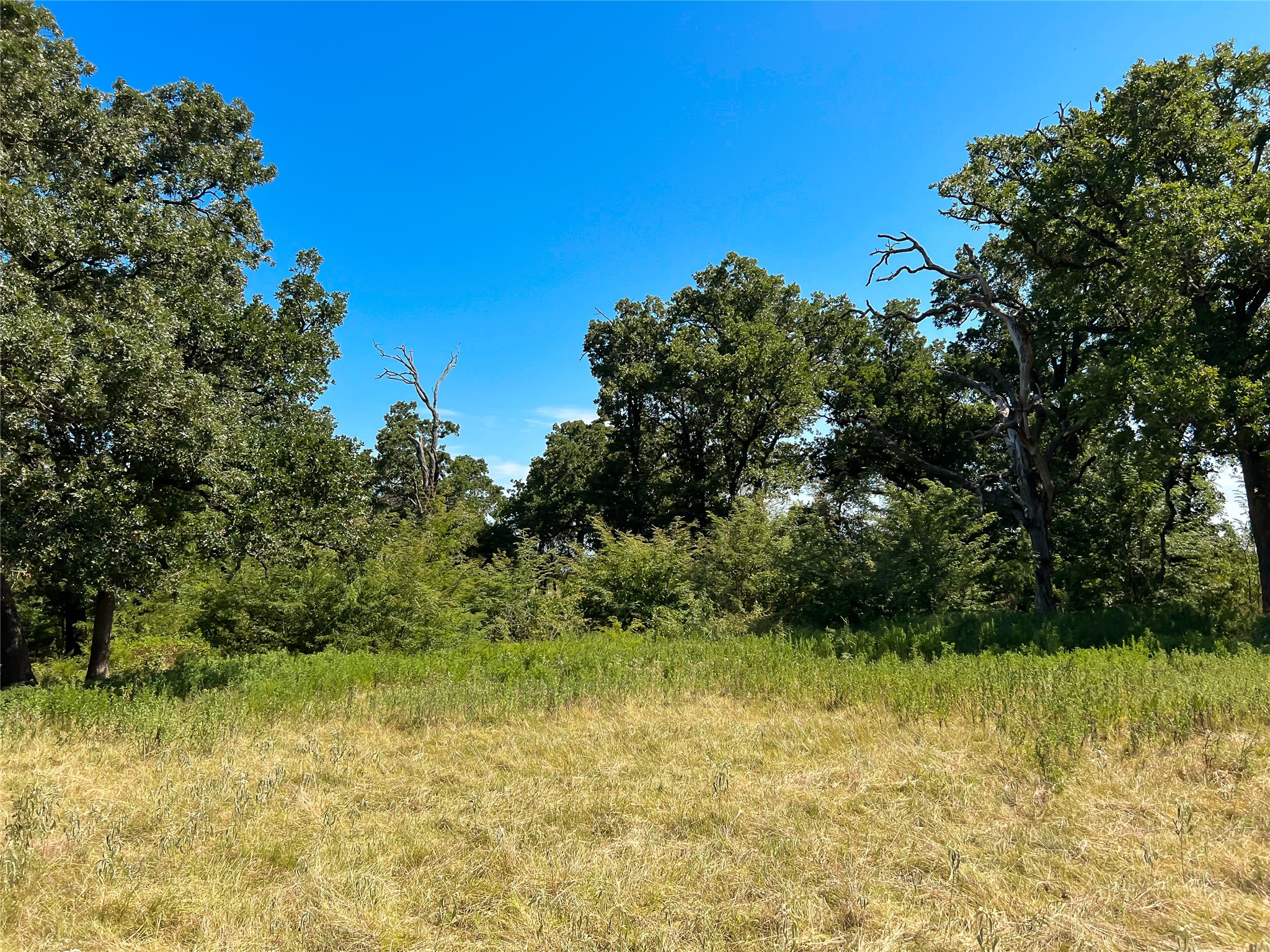 496 Fm-1512 Property Photo 24
