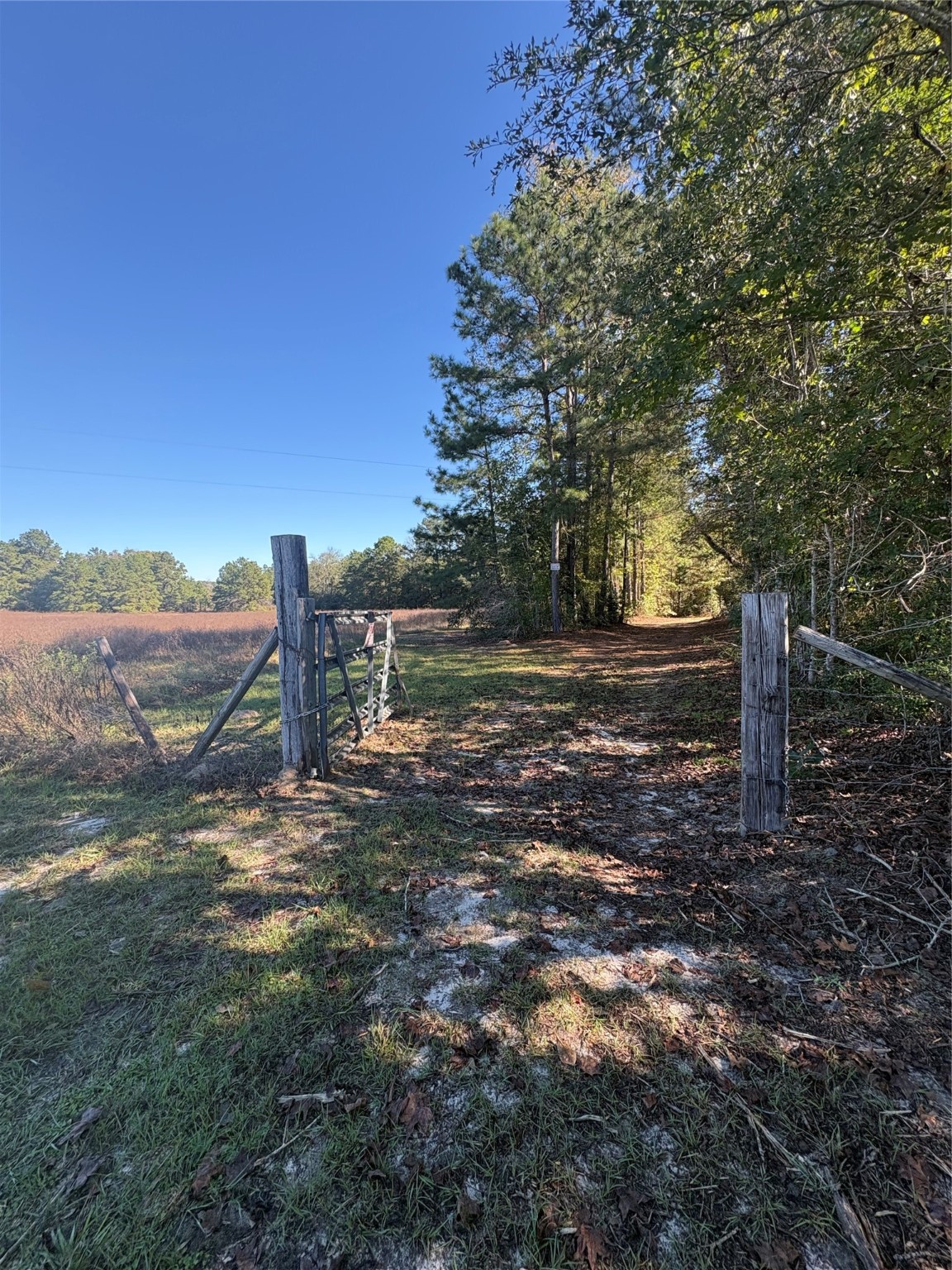 0 County Road 113 Road Property Photo