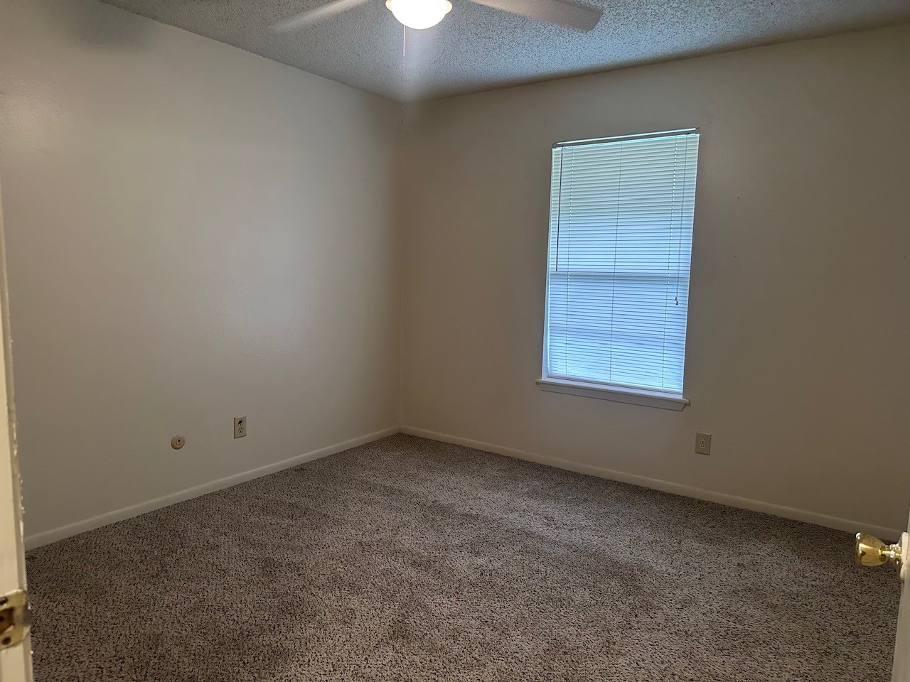 101 Willenberg Road 9 Property Photo 5