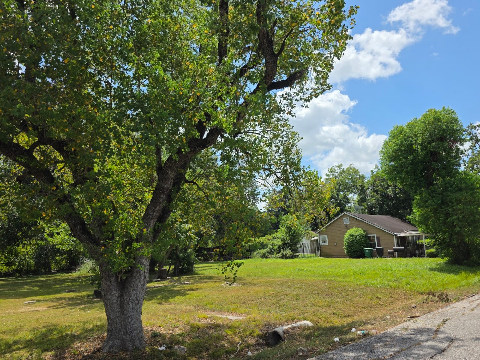 6825 Beachwood Street Property Photo 3