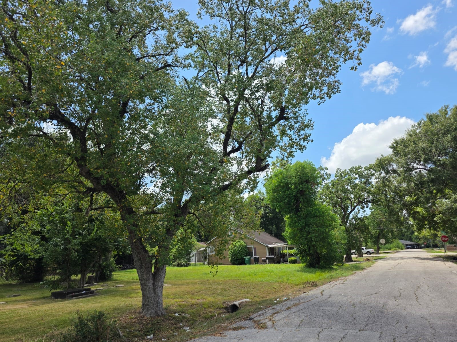 6825 Beachwood Street Property Photo 5