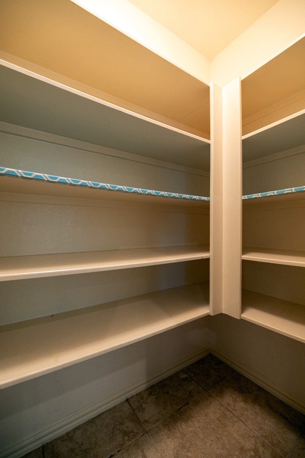 1822 Olive Pine Drive Property Photo 17