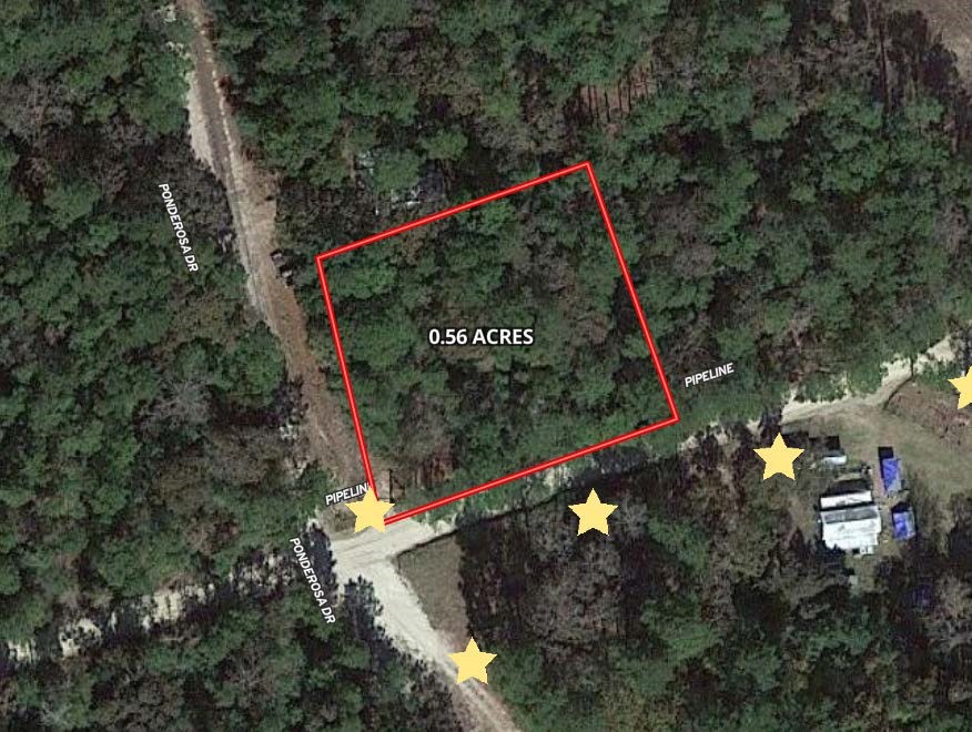 0 Little Ponderosa Drive Property Photo 1