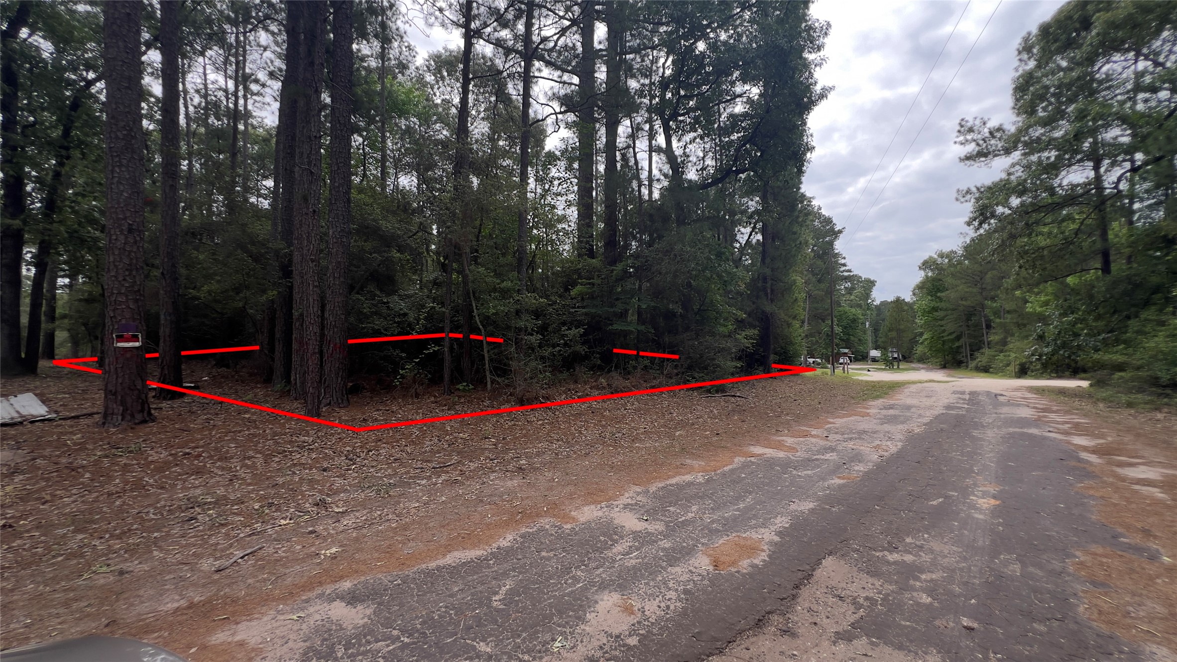 0 Little Ponderosa Drive Property Photo 5