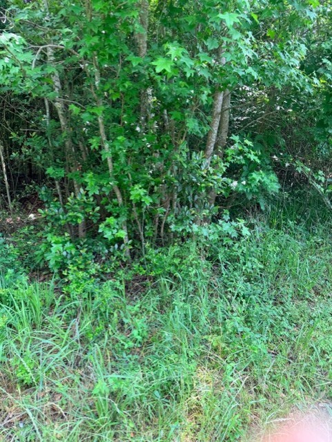14386 Baxter Road Property Photo 1