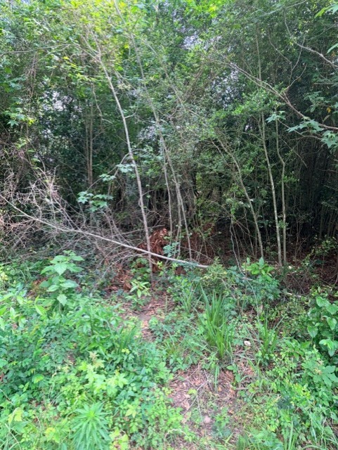 14386 Baxter Road Property Photo 4
