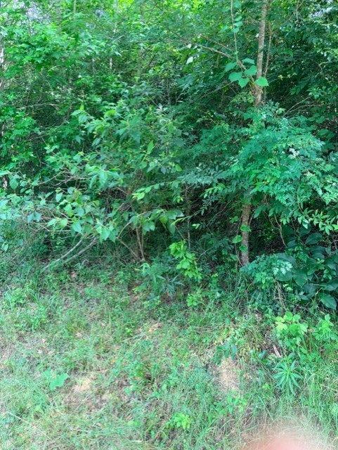 14386 Baxter Road Property Photo 5