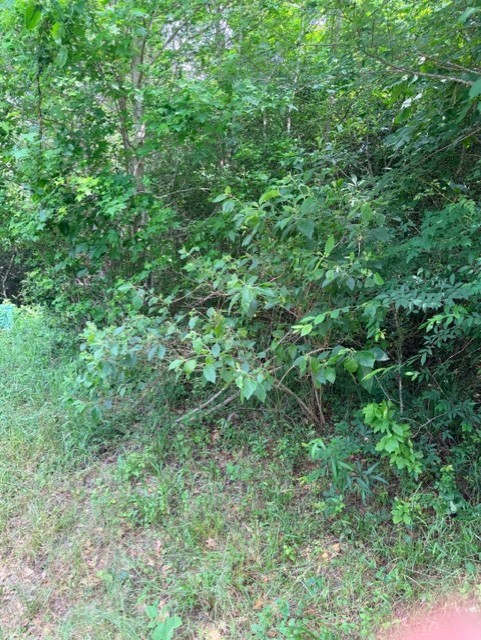 14386 Baxter Road Property Photo 7