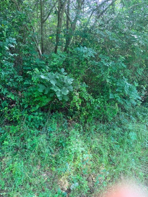 14386 Baxter Road Property Photo 8