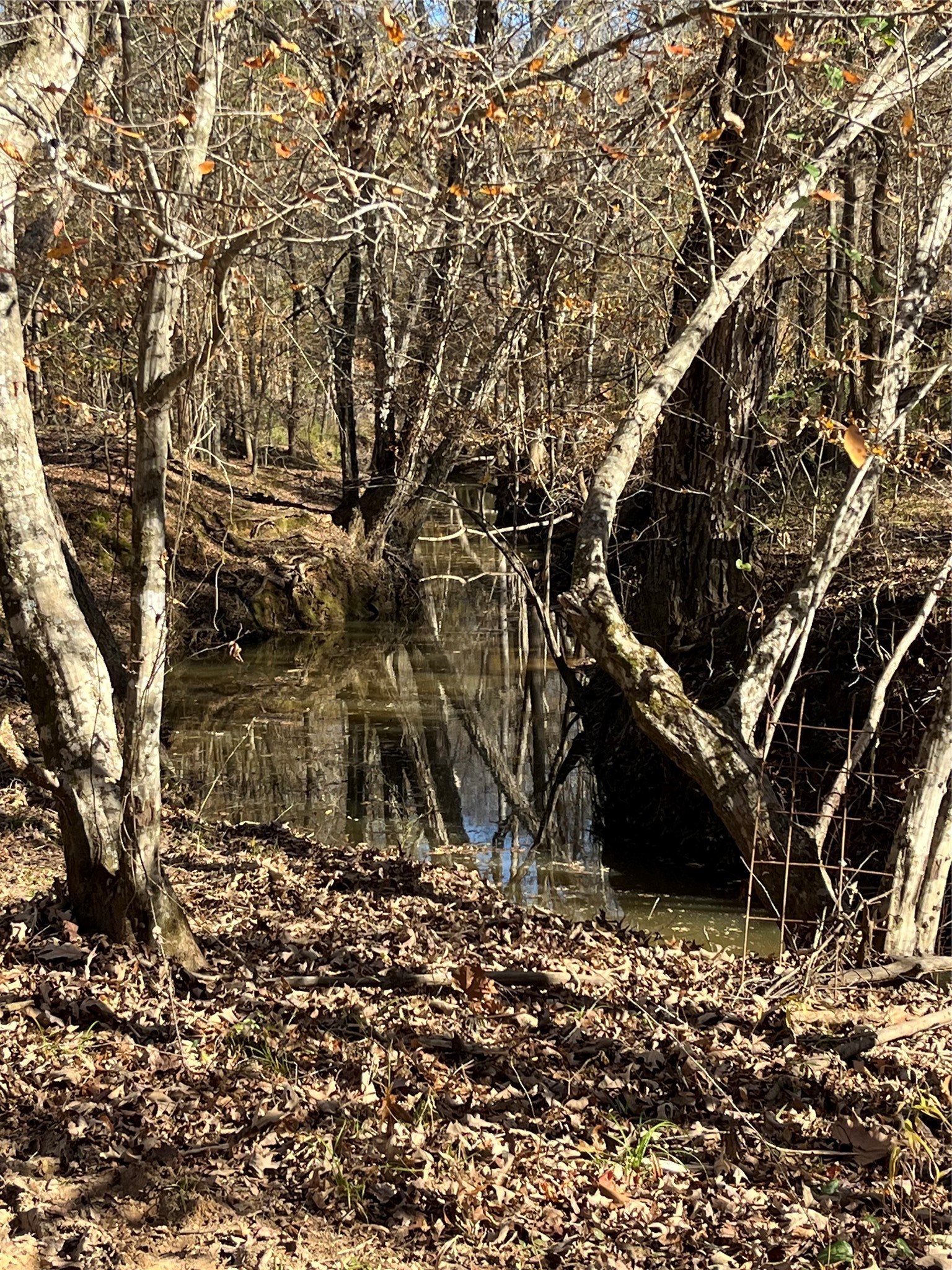 87 Acres State Highway 135 Property Photo 2