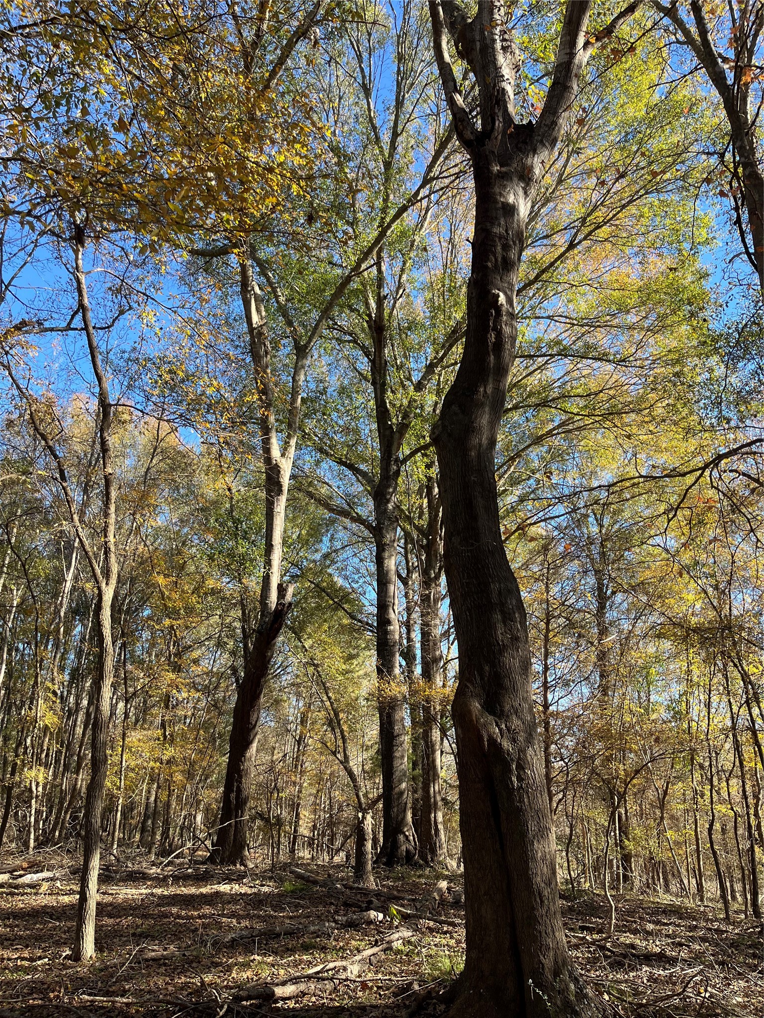 87 Acres State Highway 135 Property Photo 3