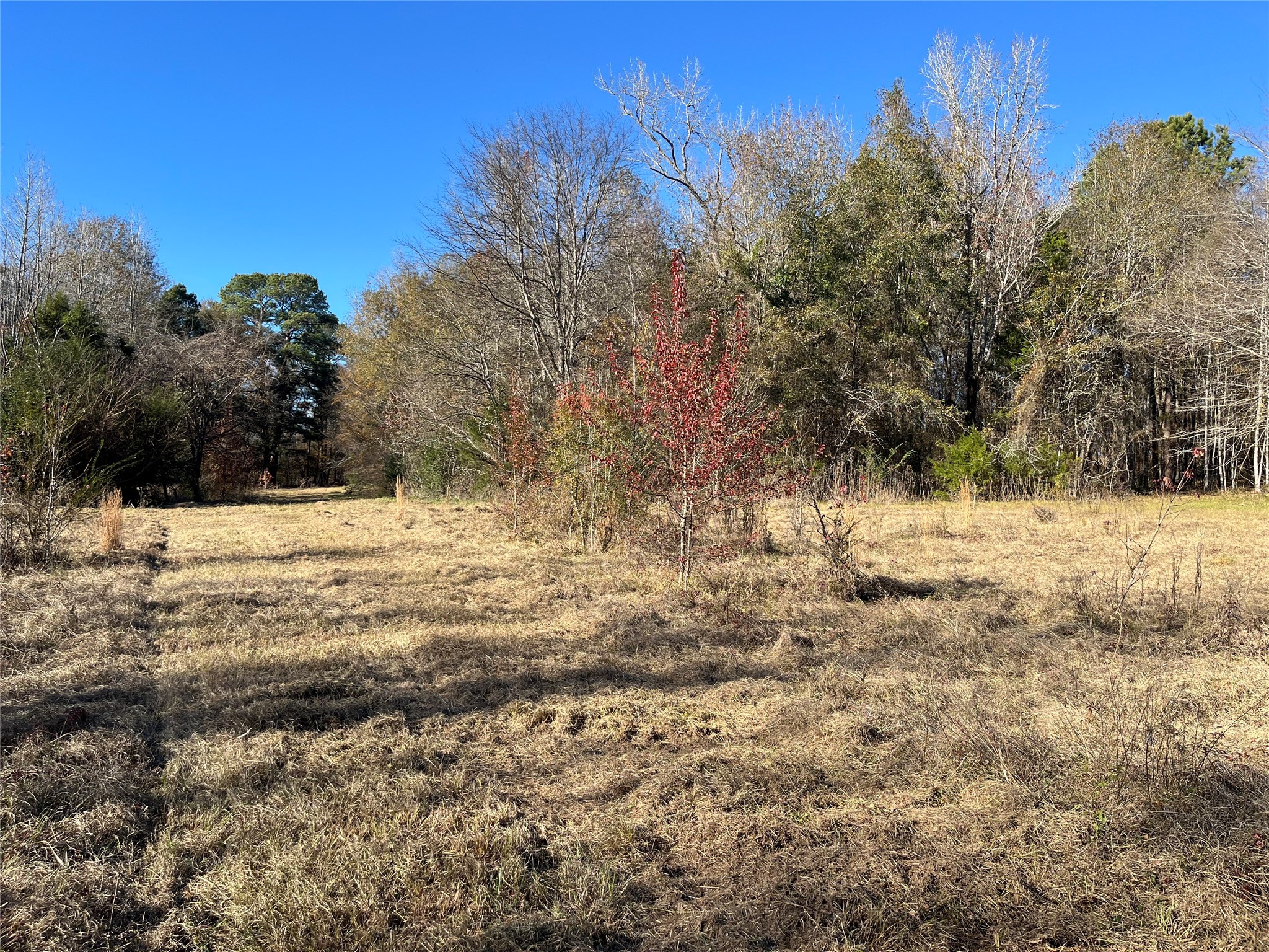 87 Acres State Highway 135 Property Photo 4