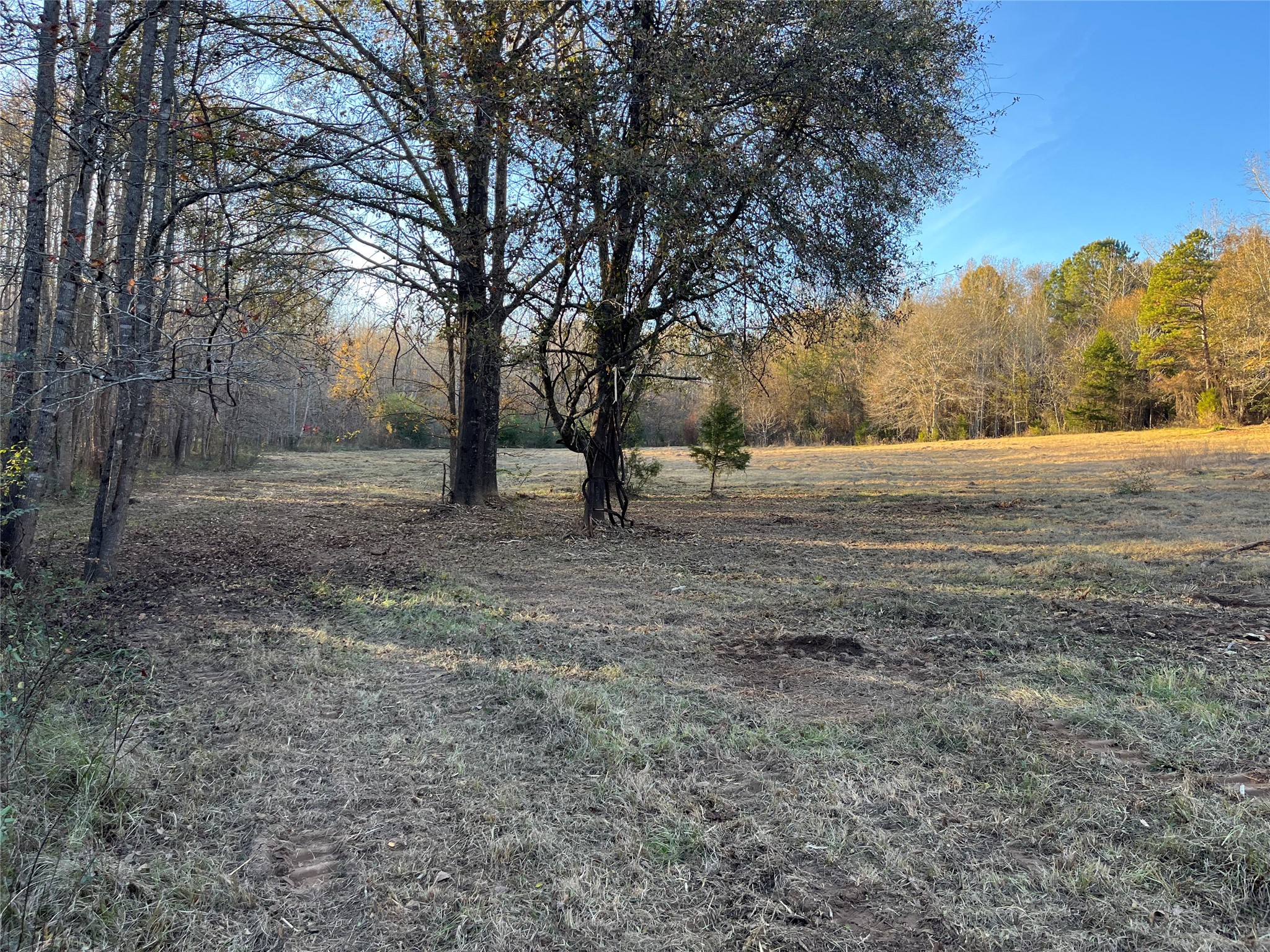 87 Acres State Highway 135 Property Photo 5