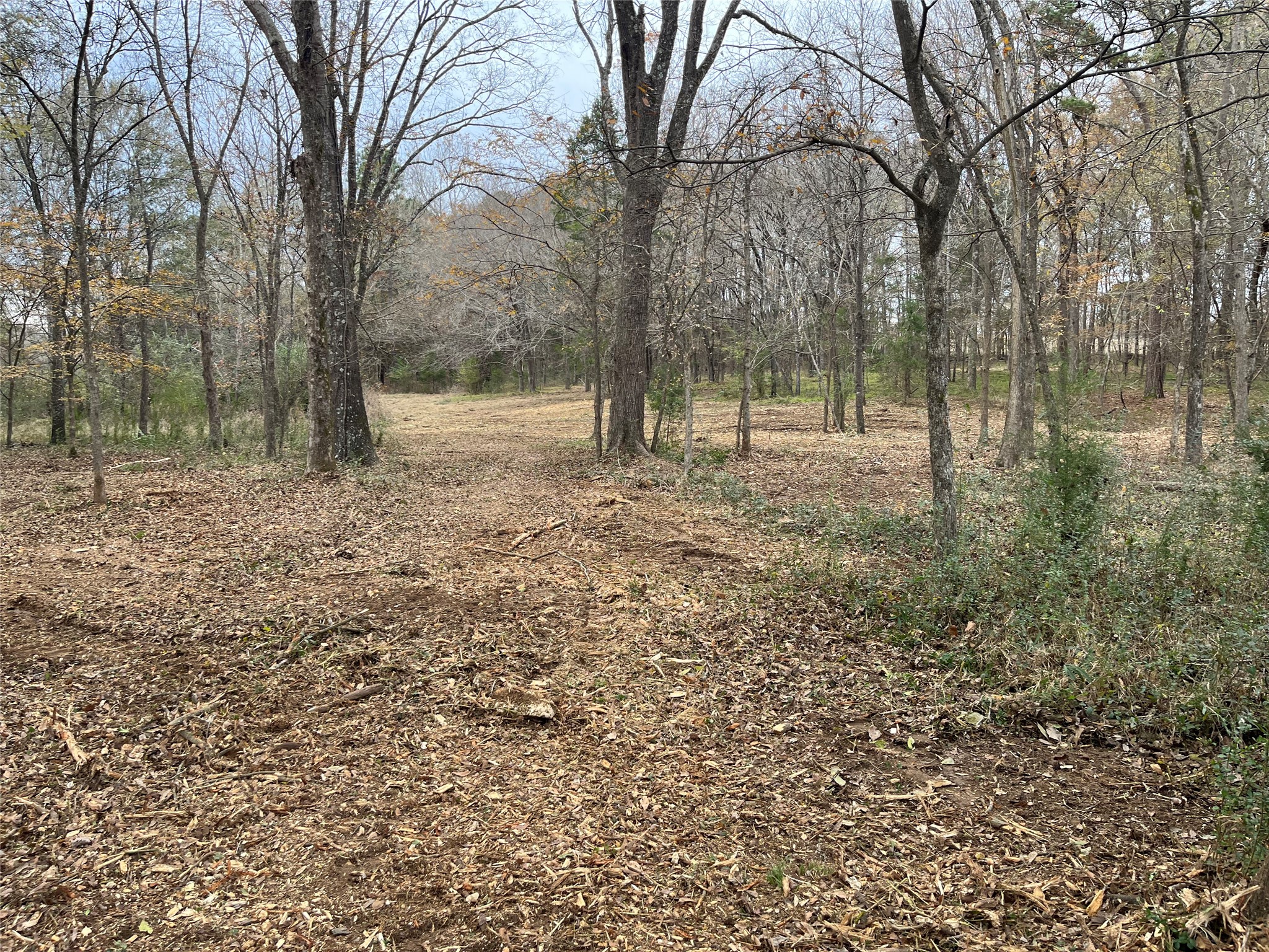 87 Acres State Highway 135 Property Photo 7