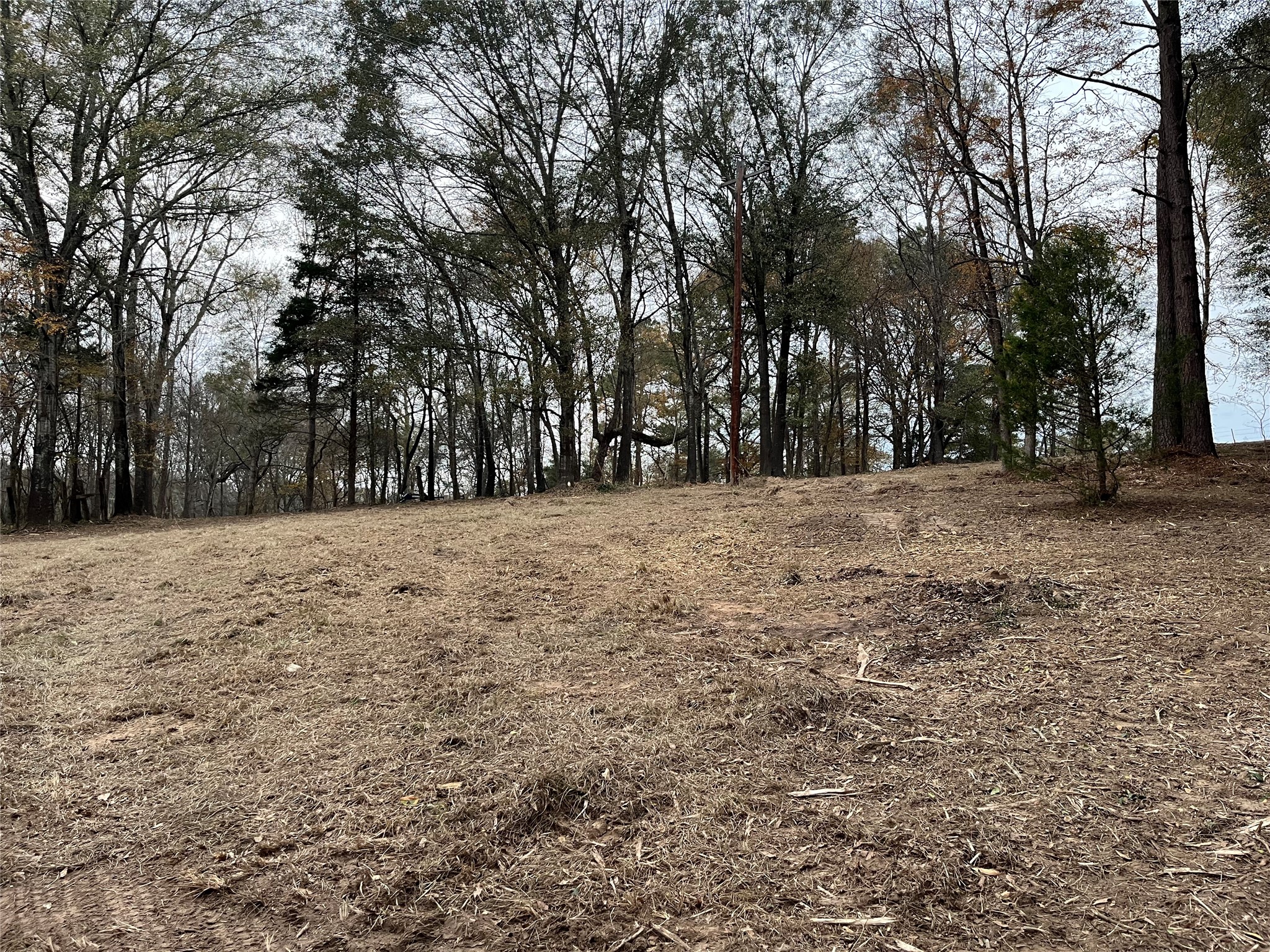 87 Acres State Highway 135 Property Photo 8