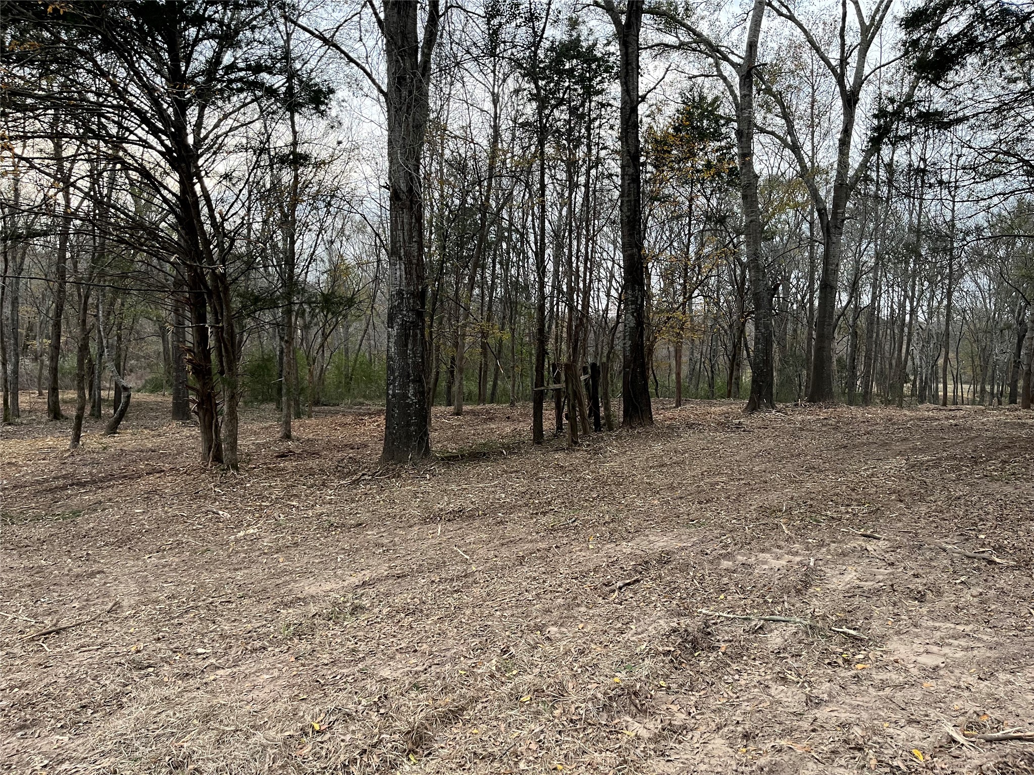 87 Acres State Highway 135 Property Photo 9