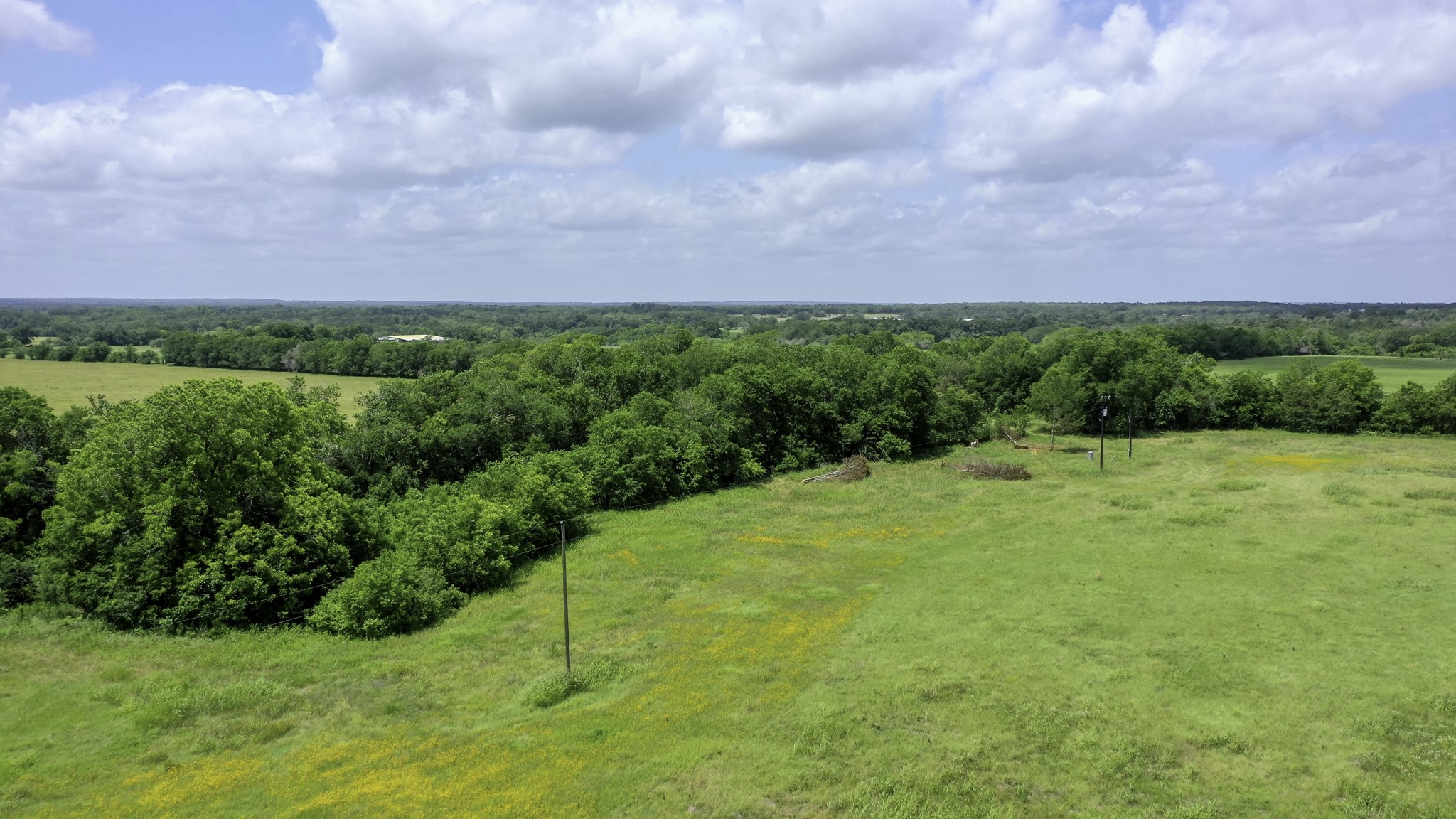Tbd Cr 328, Tract 3, 10 Acres Property Photo 11