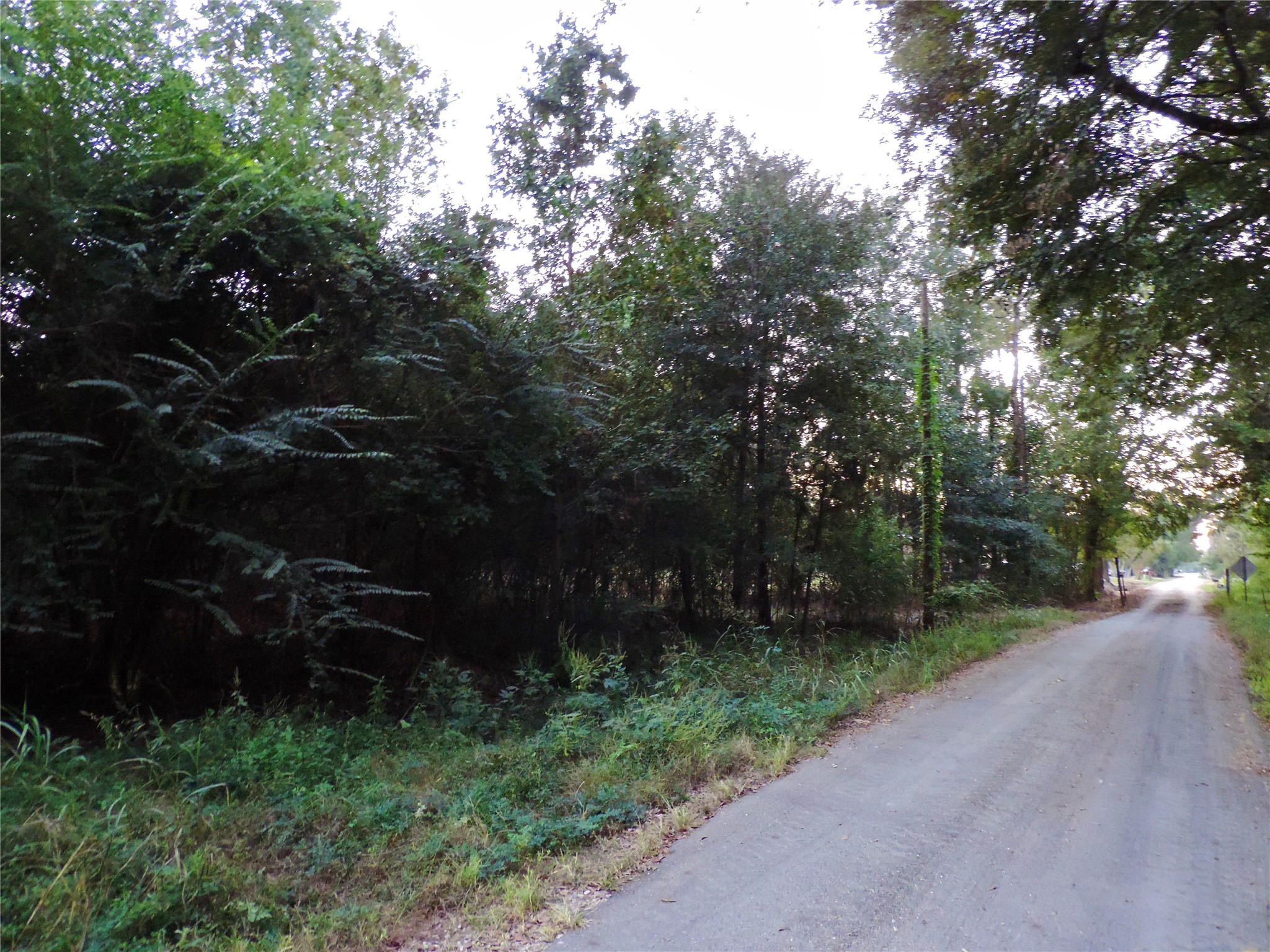 Tbd Martin Luther King Drive Property Photo 4