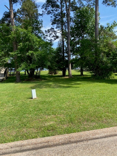 11823 Thoreau Drive Property Photo 16
