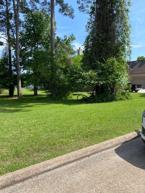 11823 Thoreau Drive Property Photo 17
