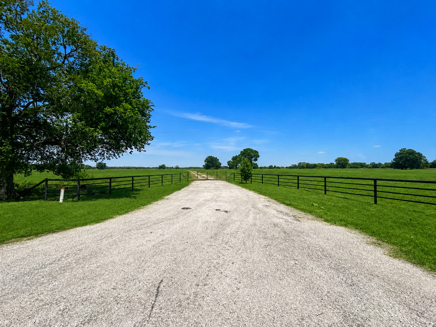 15025 Fm 2548 Property Photo 4