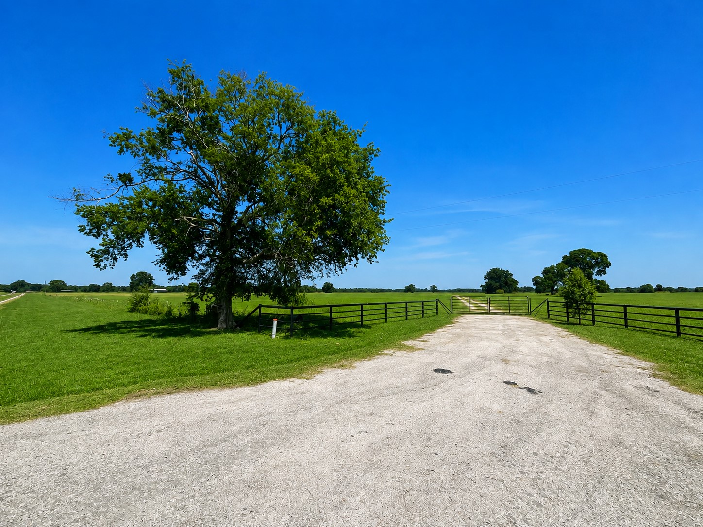 15025 Fm 2548 Property Photo 5