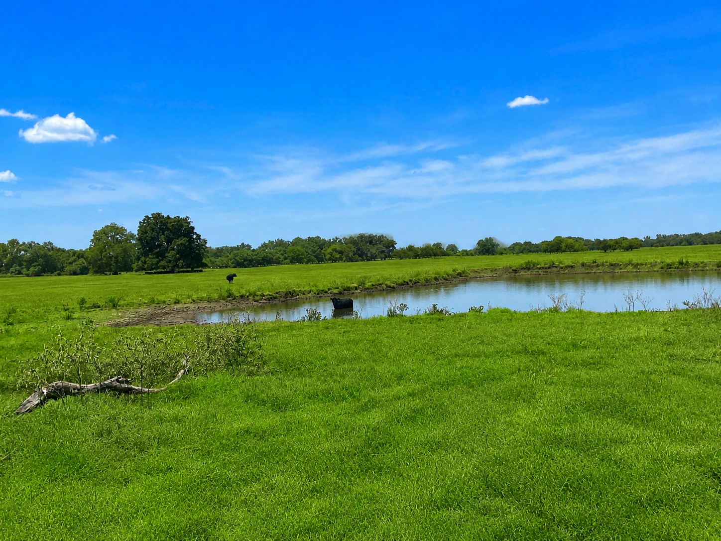 15025 Fm 2548 Property Photo 14