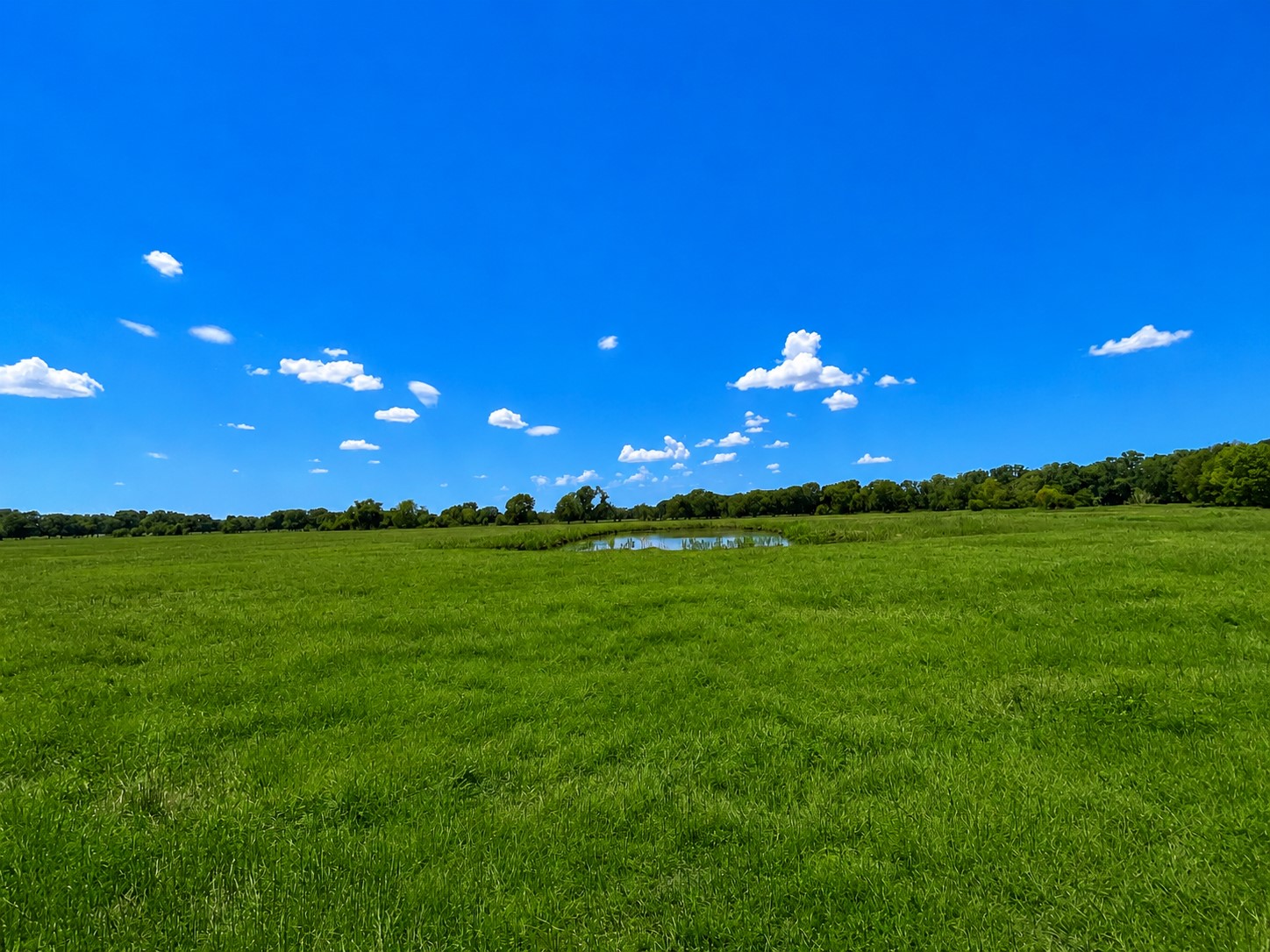 15025 Fm 2548 Property Photo 18