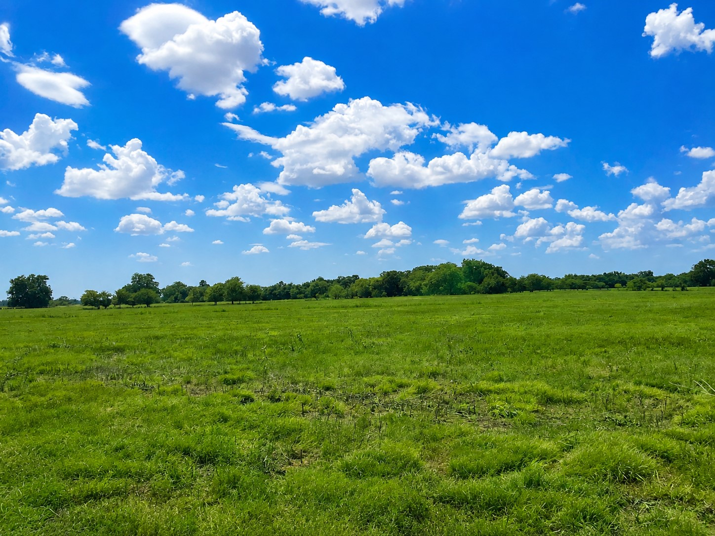 15025 Fm 2548 Property Photo 25