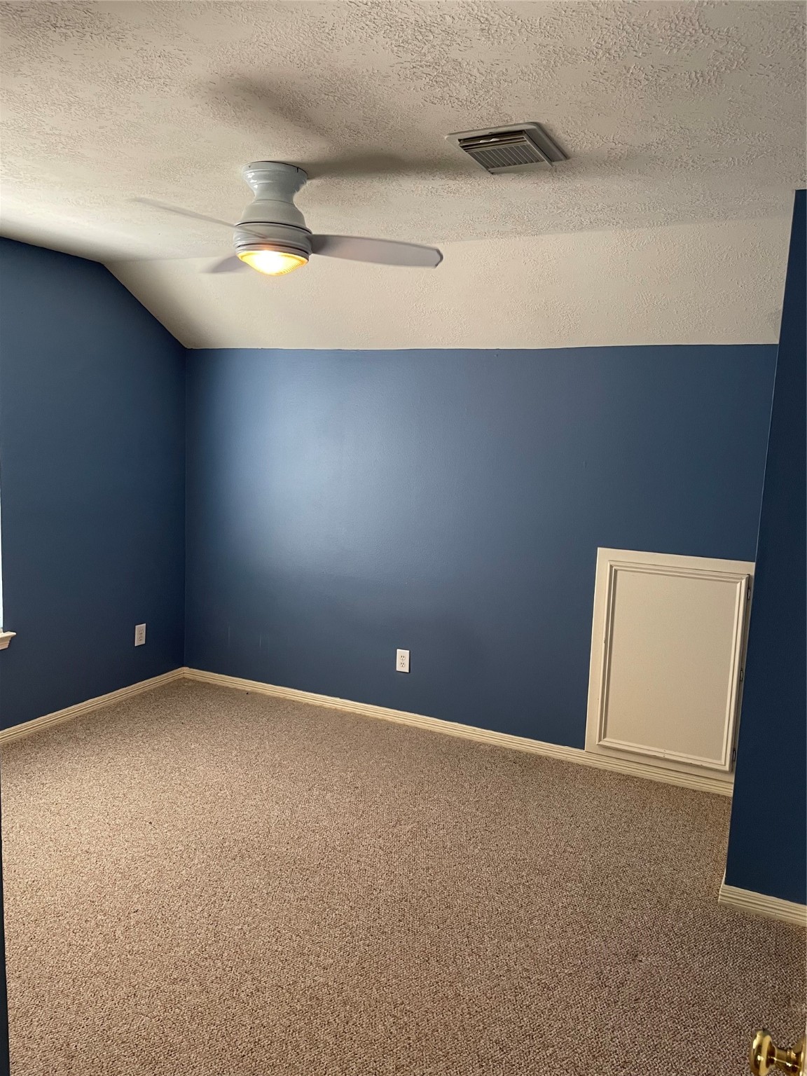 3615 Brinton Trails Lane Property Photo 19