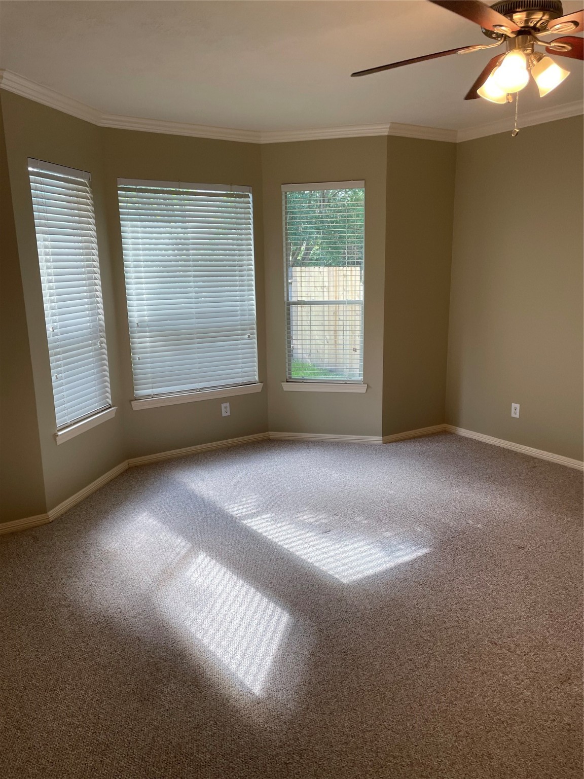 3615 Brinton Trails Lane Property Photo 20