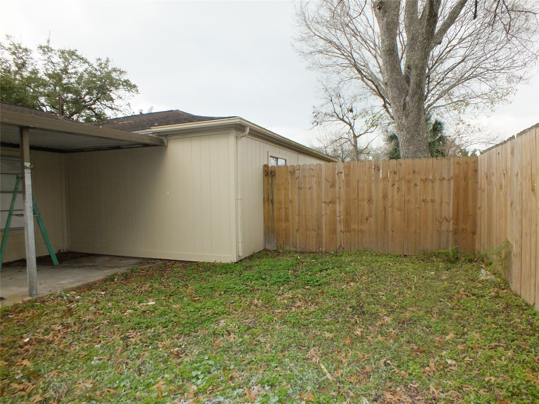 3321 Scotch Moss Lane Property Photo 13