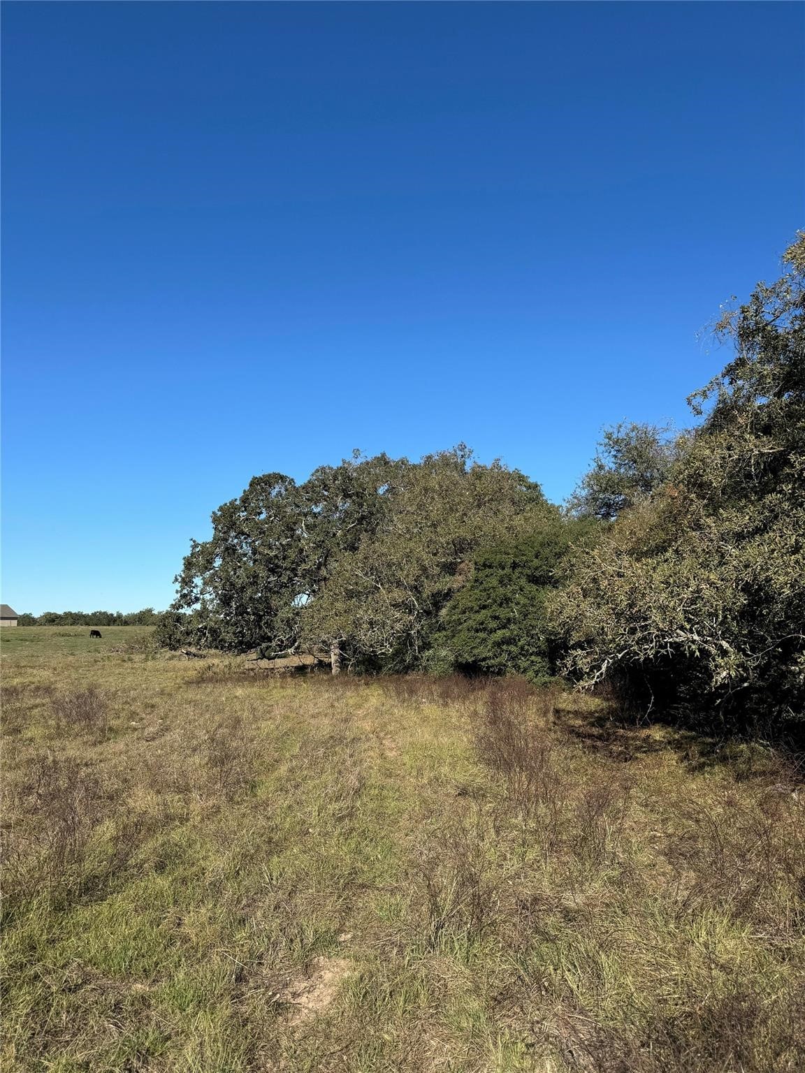 Tbd County Road 314 Property Photo 1