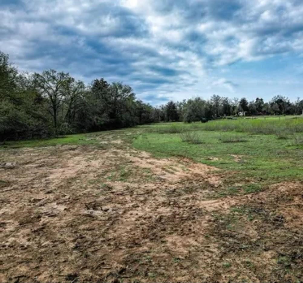 Tbd County Road 314 Property Photo 2