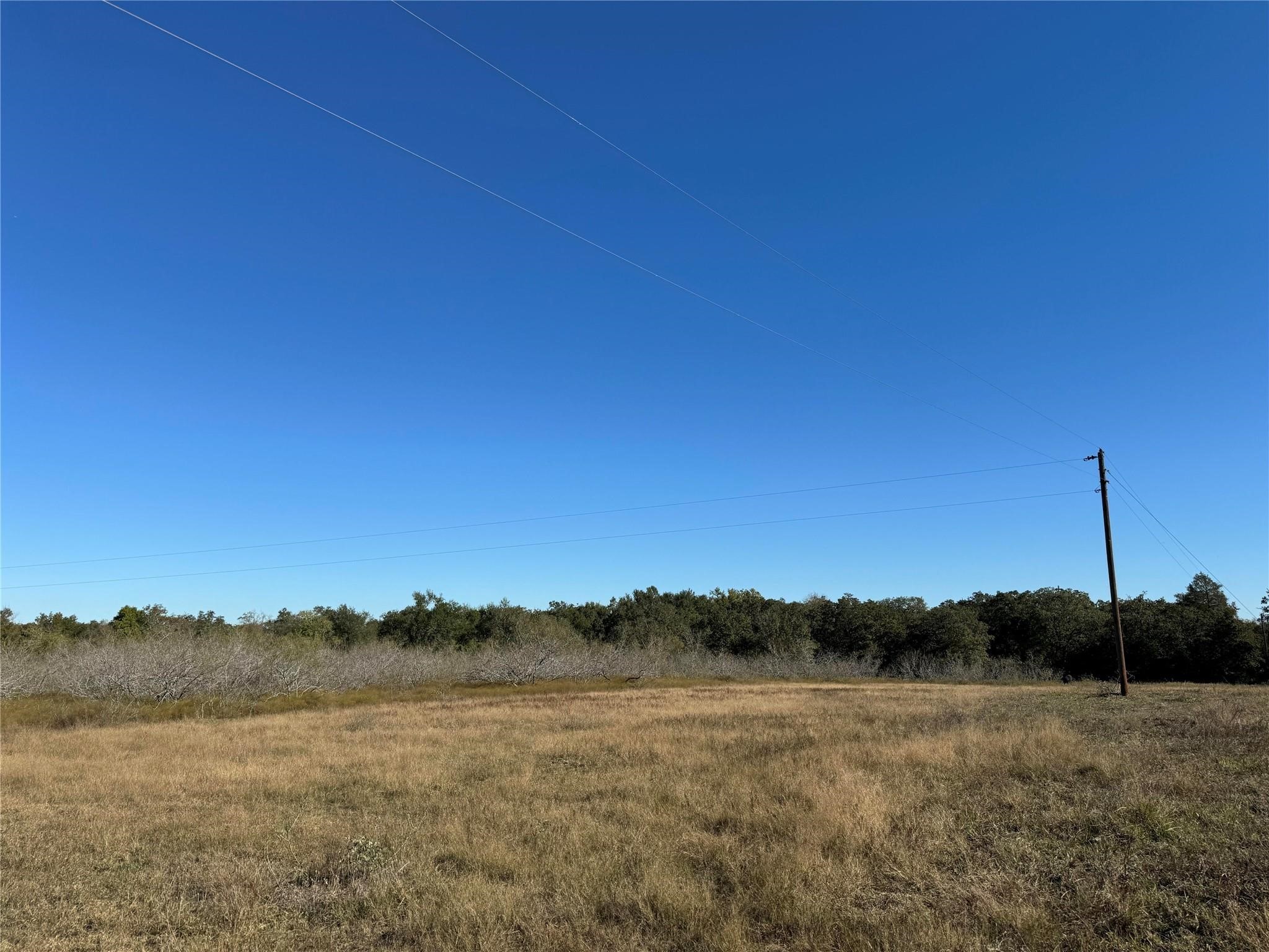 Tbd County Road 314 Property Photo 3