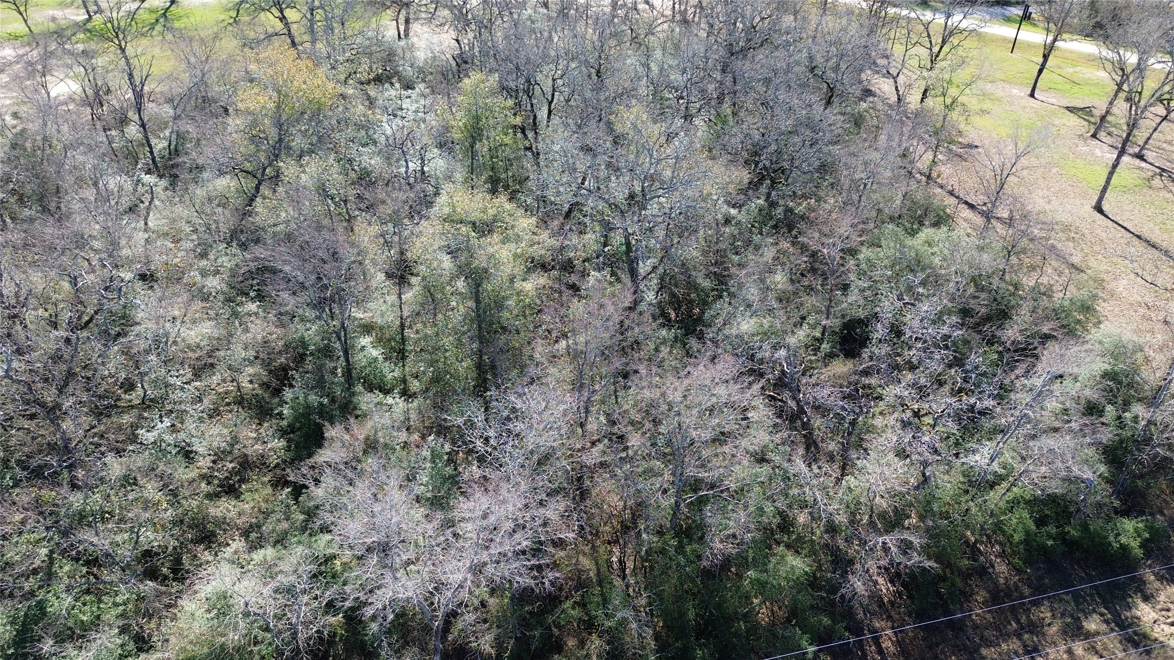 Lot 33 Cr 3675 Property Photo 2
