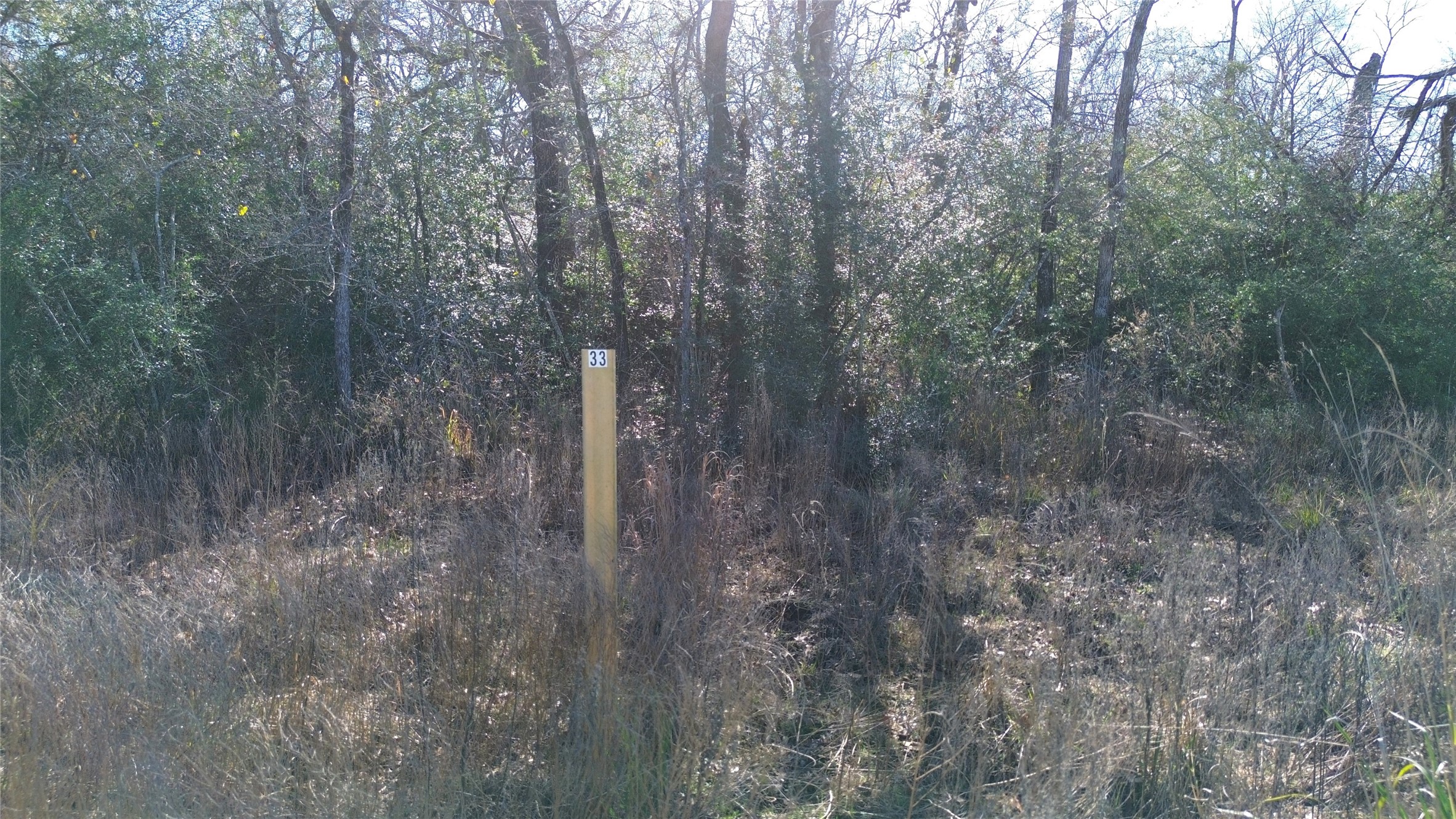 Lot 33 Cr 3675 Property Photo 4