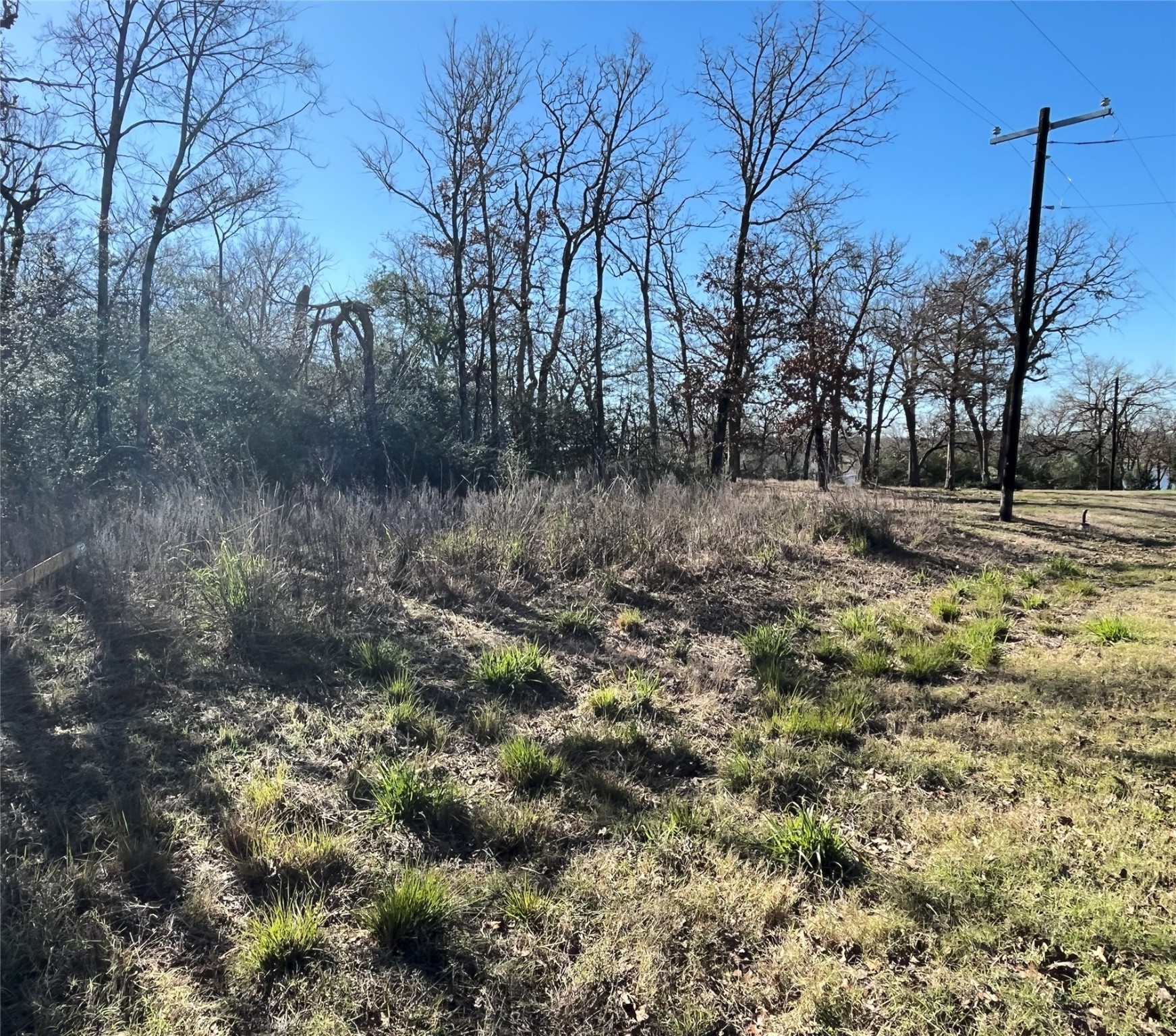 Lot 33 Cr 3675 Property Photo 6