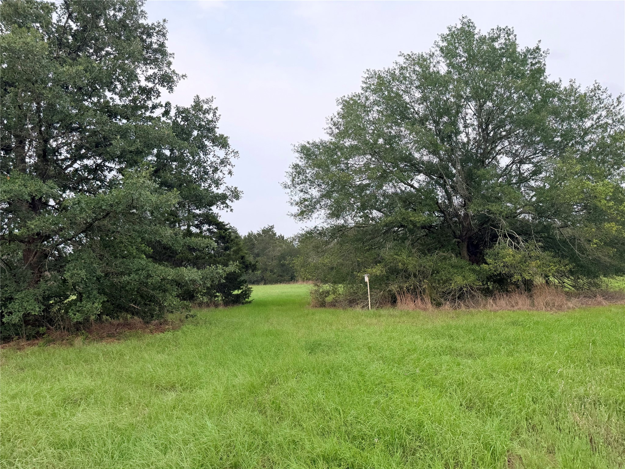 1766 Fm 2104 Property Photo 1