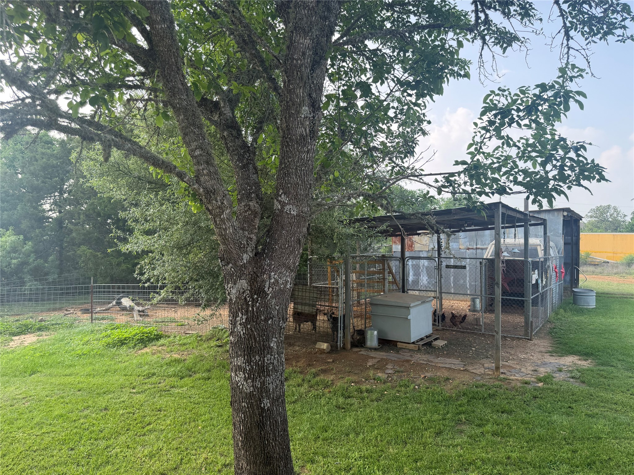 1766 Fm 2104 Property Photo 25