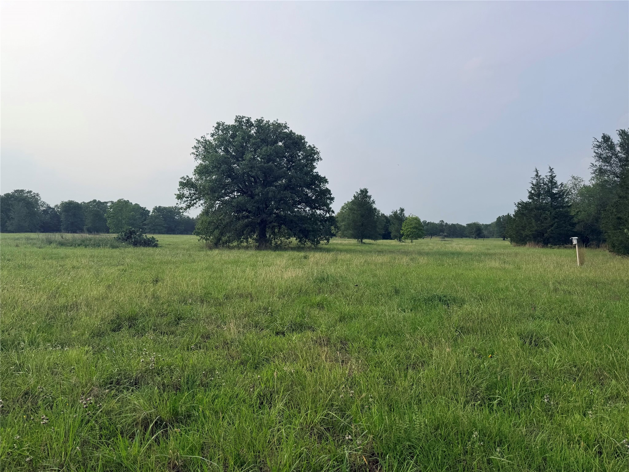 1766 Fm 2104 Property Photo 30
