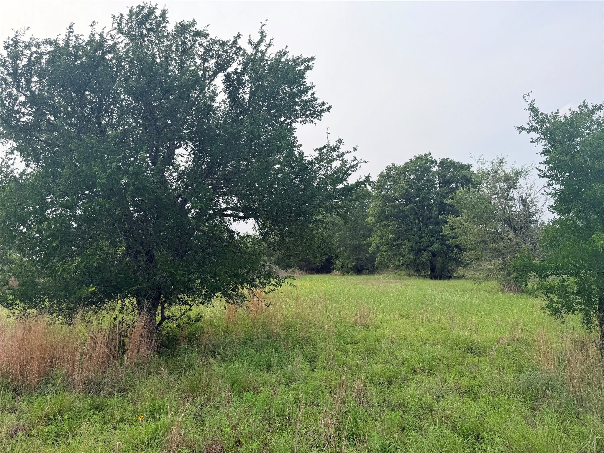 1766 Fm 2104 Property Photo 31