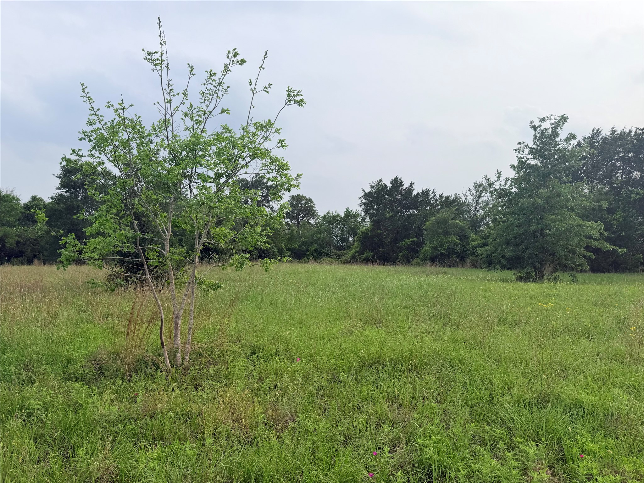 1766 Fm 2104 Property Photo 32